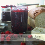 Raspberry Freezer Jam